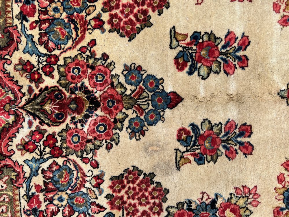 06253 Sarouk Persian White & Red 8-10x11-9 | Manoukian Rugs™