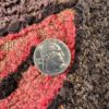 antique american hook 2-5x4-3 back